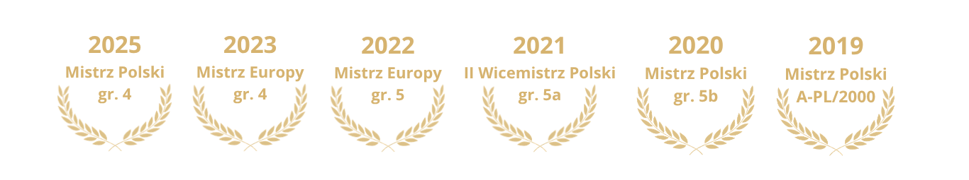Laury Mistrzowskie Grafika przedstawiająca zdobyte tytuły mistrzowskie przez kierowcę